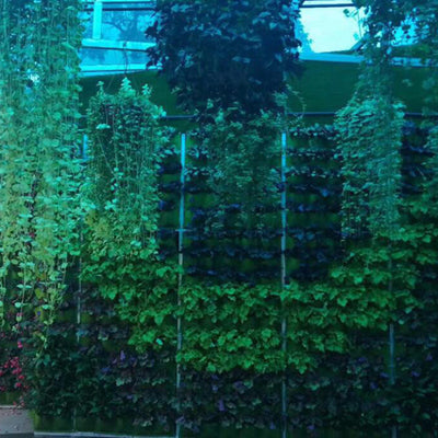 LushGreen- Garden Wall Panels